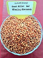 RED SOLAM 1KG (சிகப்பு சோளம்  | 1 Kg)