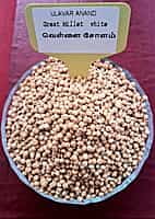 WHITE SOLAM 1KG (வெள்ளை சோளம் | 1 Kg)