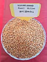 Kambu | Pearl Millet (நாட்டு கம்பு | 1 Kg)