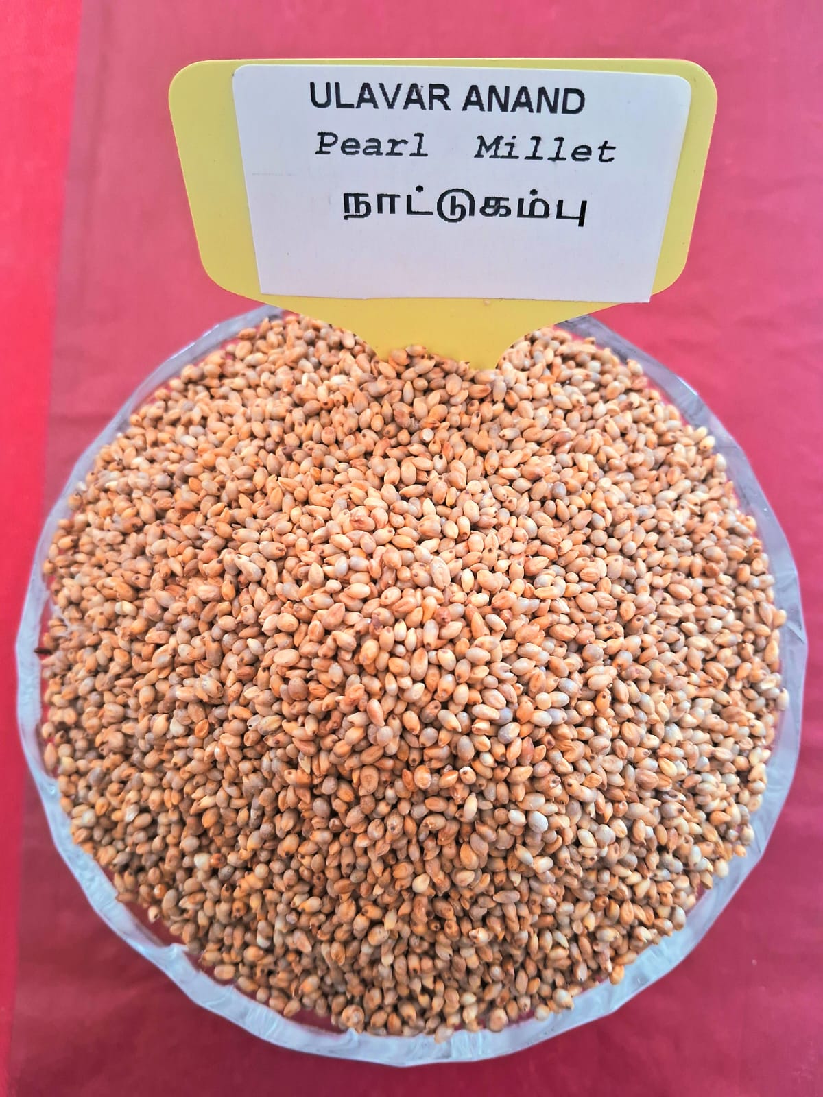 Kambu | Pearl Millet  (நாட்டு கம்பு | 1 Kg)