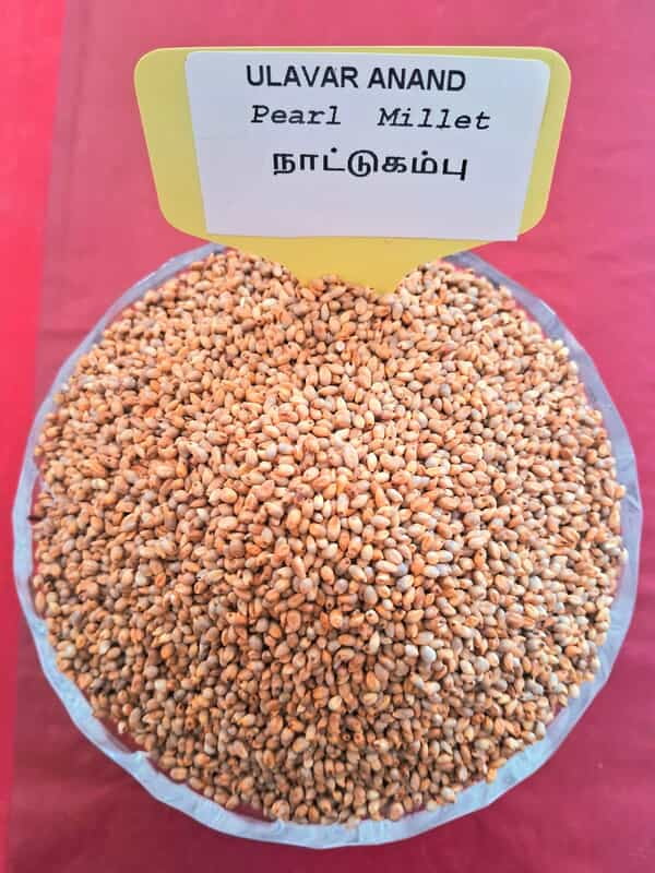 Kambu | Pearl Millet (நாட்டு கம்பு | 1 Kg)
