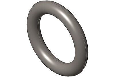 O Ring Seal