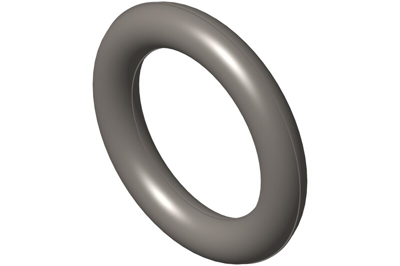 O Ring Seal
