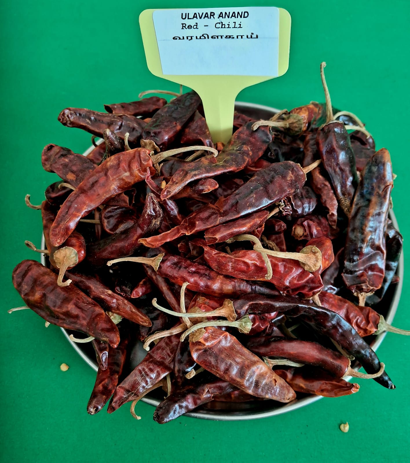 RED CHILLI 100G (வரமிளகாய் | 100 G)