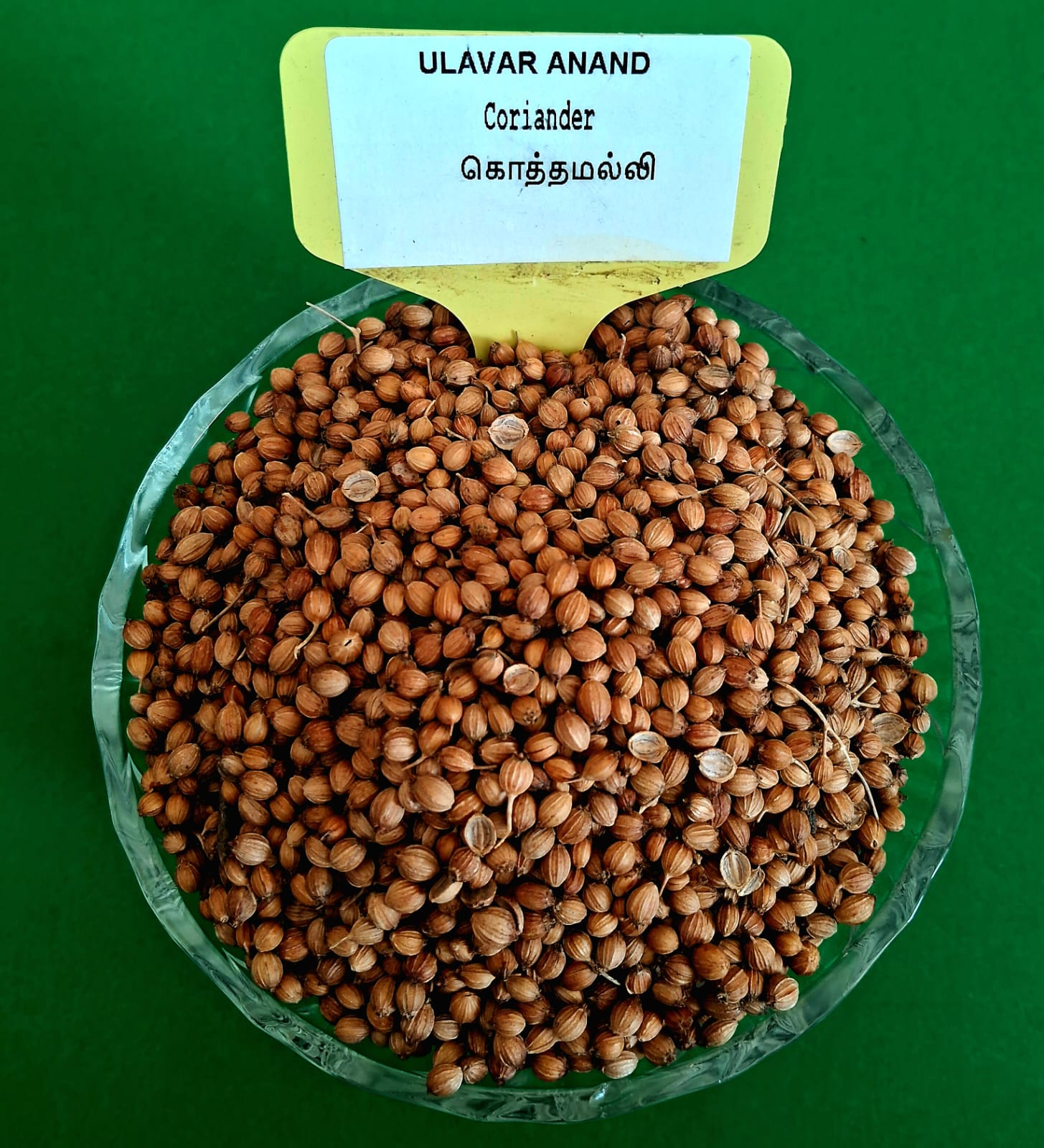 CORINDER 200G ( SPICES ) (கொத்தமல்லி | 200G)