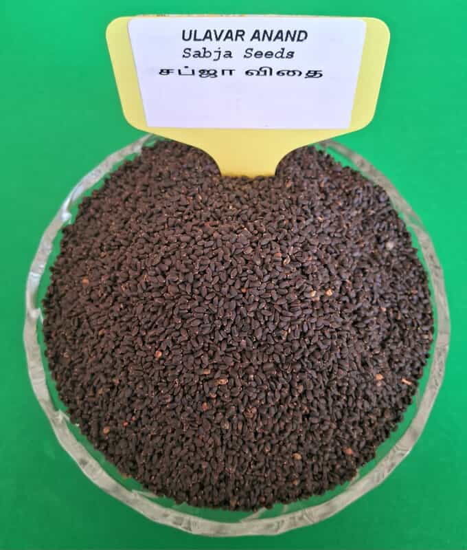 SABJA SEEDS 100G (சப்ஜா விதை | 100 G)