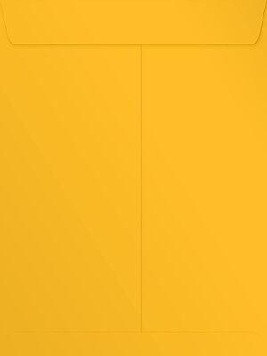 LUX Open-End 9in x 12in Envelopes, Peel & Press Closure