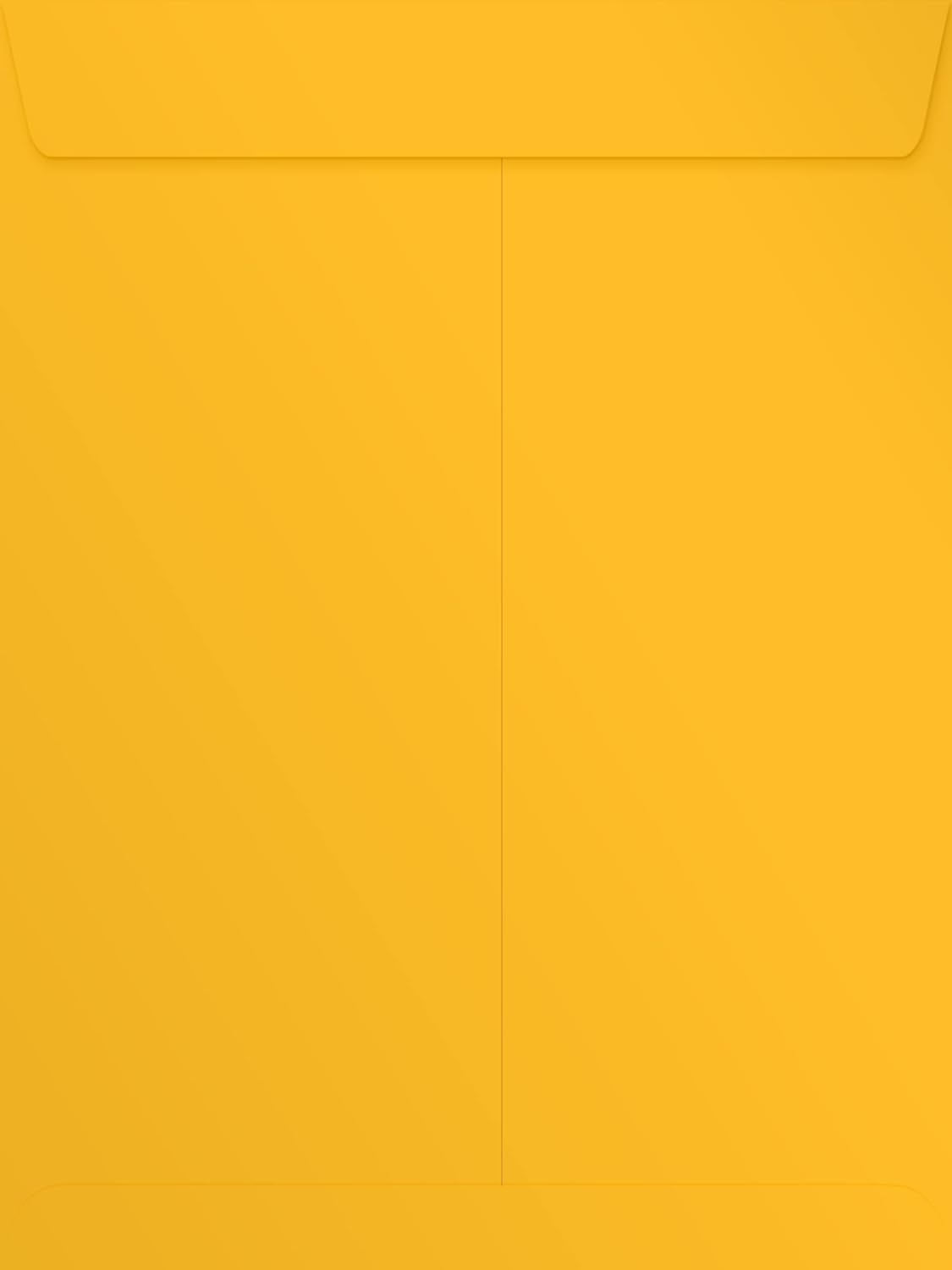 LUX Open-End 9in x 12in Envelopes, Peel & Press Closure