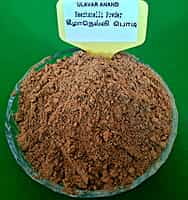 Keezhanelli (Phyllanthus Niruri) | 50G | Intake (கீழாநெல்லி பொடி | 50 G)