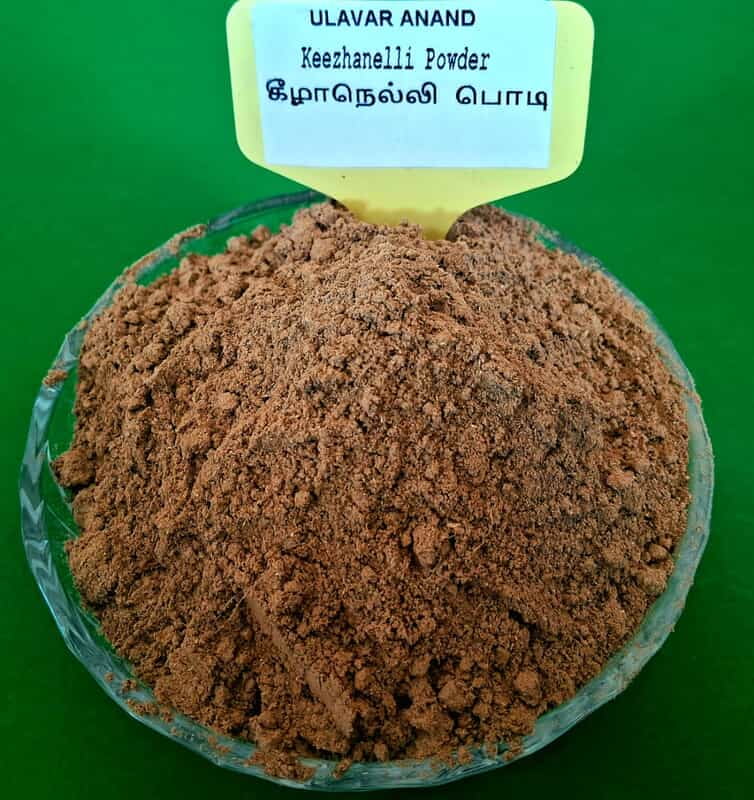 Keezhanelli (Phyllanthus Niruri) | 50G | Intake (கீழாநெல்லி பொடி | 50 G)