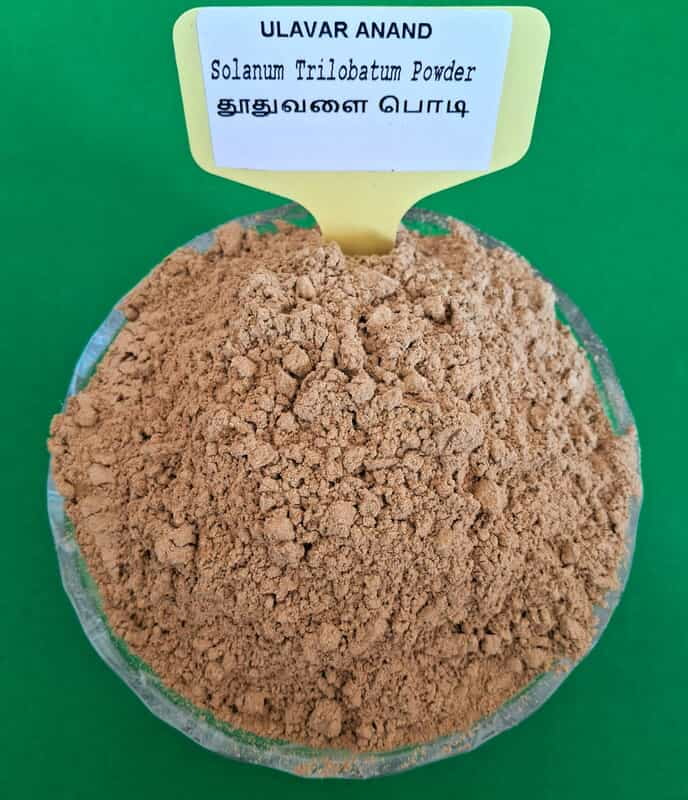 Solanum trilobatum powder 100G (தூதுவேளை பொடி | 100 G (Intake))