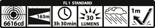 MAGLITE ML25IT 2C-Cell Flashlight