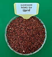 ரத்தசாலி 1KG | Rathasali Rice 1KG