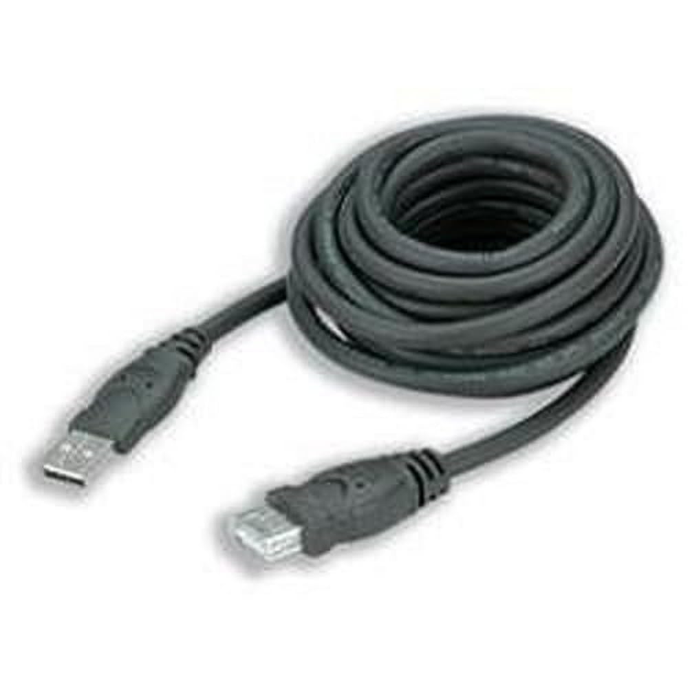 Belkin Pro Series USB 1.1 Extension Cable - Type A Male USB - Type A Female USB - 10ft