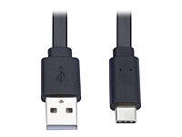 Tripp Lite USB-A to USB-C Cable, Flat Cable Design, USB 2.0, Thunderbolt 3 Compatible Sync and Charge, M/M 6 ft (U038-006-FL)