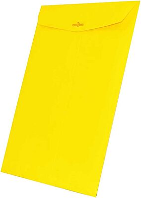 JAM Paper Open-End 9 x 12 Colored Catalog Envelopes with Clasp Closure