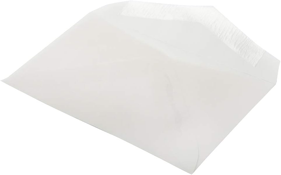 JAM PAPER Translucent Vellum Invitation Envelopes