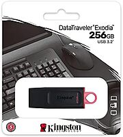 Kingston DataTraveler Exodia 256GB USB 3.2 Flash Drive DTX/256GB, Black
