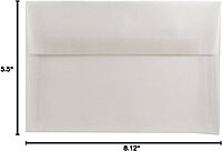 JAM PAPER Translucent Vellum Invitation Envelopes - Clear