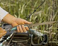 Toadfish Stowaway Folding Fillet Knife w/Built-In Carabiner - 7"