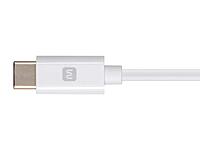 Monoprice Apple MFi USB-C to Lightning Charging and Sync Cable