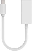 Belkin Mini DisplayPort to HDMI Cable and Adapter