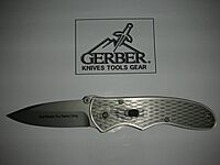 Gerber Gear Mini-Fast Draw Assisted Opening Folding Knife