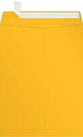 LUX Open-End 9in x 12in Envelopes, Peel & Press Closure