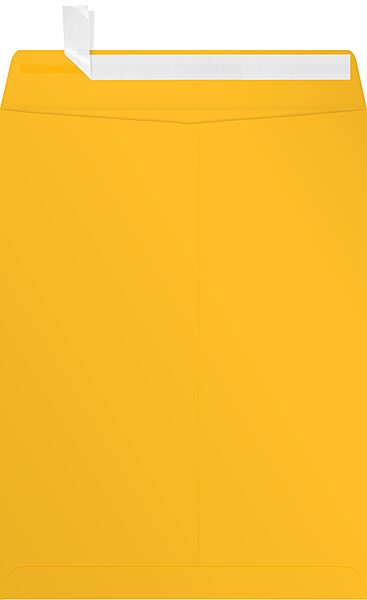 LUX Open-End 9in x 12in Envelopes, Peel & Press Closure