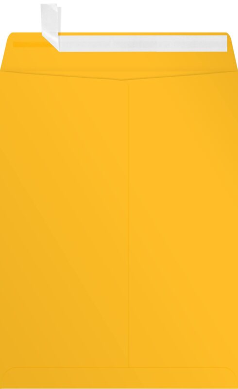 LUX Open-End 9in x 12in Envelopes, Peel & Press Closure