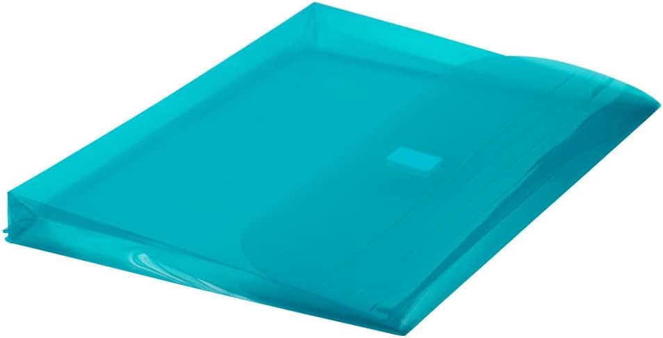 JAM PAPER Plastic 3 Hole Punch Binder Envelopes with Hook & Loop Closure - Letter Booklet - 9 1/2 x 11 1/2 with 1 Inch Expansion - Teal - 12/Pack 12 Pack Teal