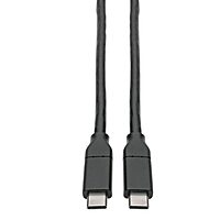 Tripp Lite USB Type C to USB C Cable USB 2.0 5A Rating USB-IF Cert M/M 13ft - First End: 1x USB Type C Male Thunderbolt 3 - U040C13C5A