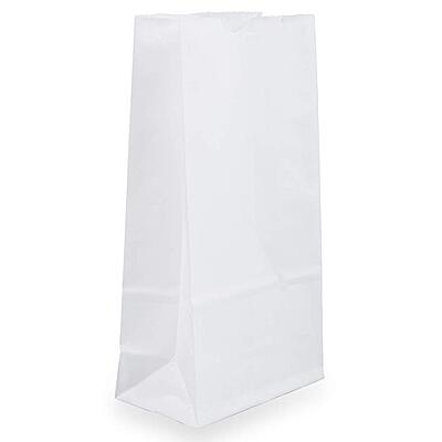 JAM PAPER 100% Recycled Kraft Snack/Lunch Bags - 25/Pack