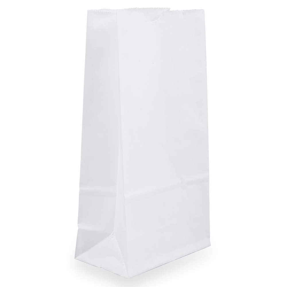 JAM PAPER 100% Recycled Kraft Snack/Lunch Bags - 25/Pack