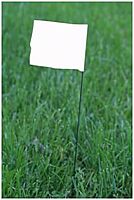 CH Hanson Stake Flags-21 Staff, 2-1/2"x3-1/2 Flag, White 100Pcs.