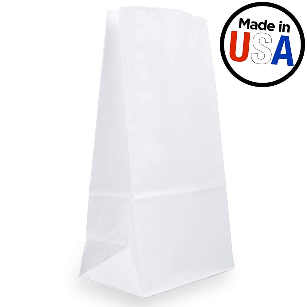 JAM PAPER 100% Recycled Kraft Snack/Lunch Bags - 25/Pack