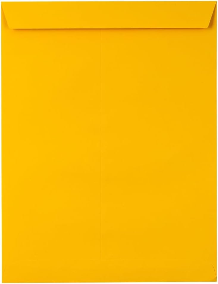 LUX Open-End 10 x 13 Envelopes, Peel & Press Closure