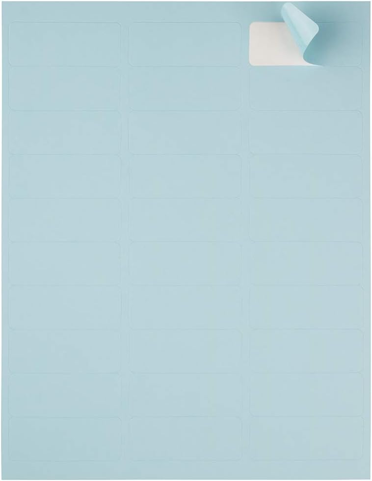 JAM PAPER Mailing Address Labels - Self-Adhesive Rectangular