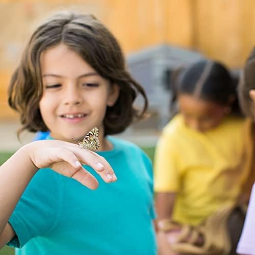 Insect Lore Raise and Release Butterfly Garden Kit – Caterpillar Habitat with redeemable Voucher