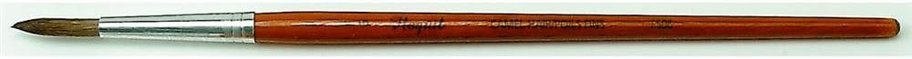 #6 Wooster F1628 Artist Brush Camel Hair Watercolor Pointed Artist Paint Brush