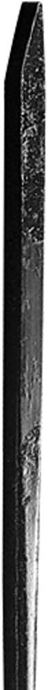TRUE TEMPER Pinch Point Pry Bar and Crowbar