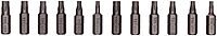 12 PC TORX & TAMPER TORX- BIT SET