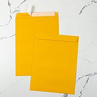 LUX Open-End 10 x 13 Envelopes, Peel & Press Closure