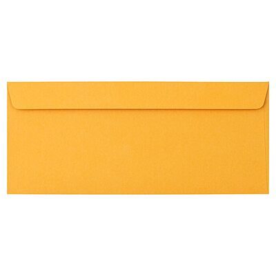 JAM PAPER Brown Kraft Manila Booklet Envelopes with Gummed Closure