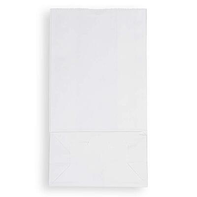 JAM PAPER 100% Recycled Kraft Snack/Lunch Bags - 25/Pack