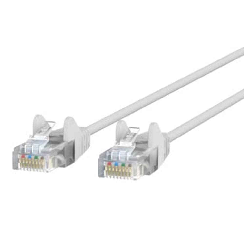 Belkin 1ft CAT6 Ethernet Patch Cable Snagless, RJ45, M/M - Gray - 1 ft Category 6 Network Cable - CE001B01S