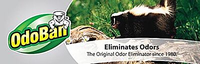 OdoBan Professional Ready-to-Use Disinfectant and Odor Eliminator, 32 Ounce Spray Bottle, Original Eucalyptus Scent 32 Fl Oz (Pack of 1)