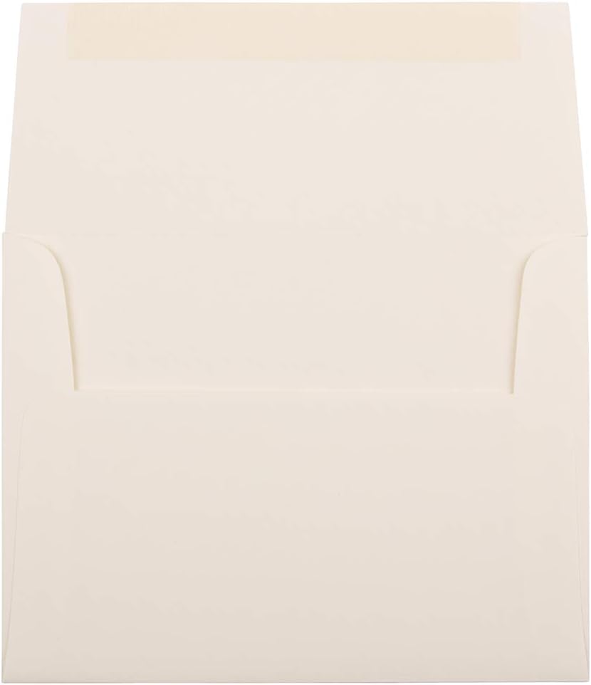 JAM PAPER Booklet Invitation Envelopes