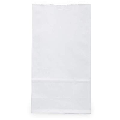 JAM PAPER 100% Recycled Kraft Snack/Lunch Bags - 25/Pack