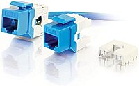 Cables To Go - Keystone jack - RJ-45 - blue - 1 port